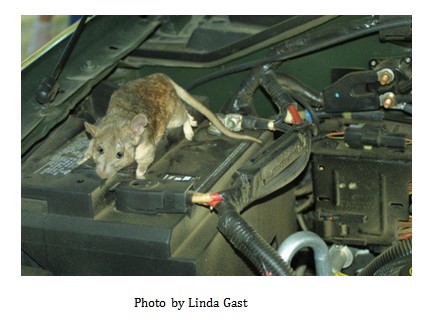 Posted by 9jaflaver staff on August 23, 2018, Under: Techs