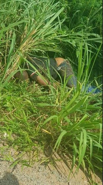 Tragedy As Man’s Body Is Found In A Bush With His Hands And Legs Tied In Anambra Tragedy As Man’s Body Is Found In A Bush With His Hands And Legs Tied In Anambra