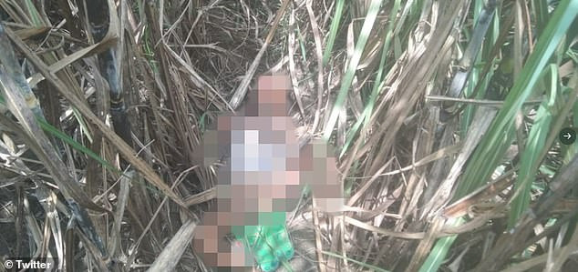 Tragedy As 3-Year-Old Girl Is Raped And Murdered As Part Of An On-going Feu...
