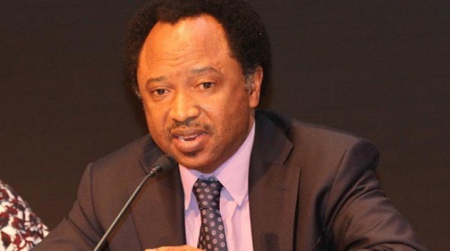 Shehu Sani: Security Chiefs Building Personal Businesses With Arms Funds