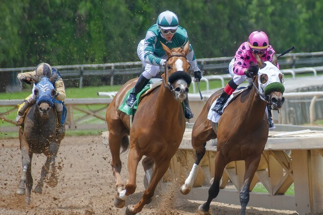Participants in horse racing